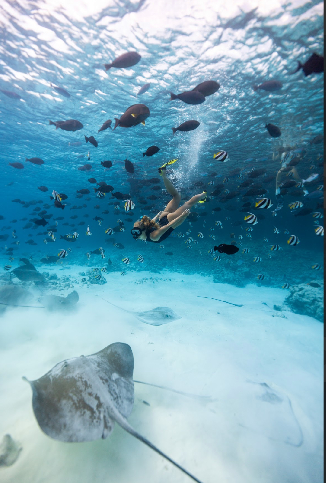 Retiro de Surf, yoga y snorkel en Maldivas